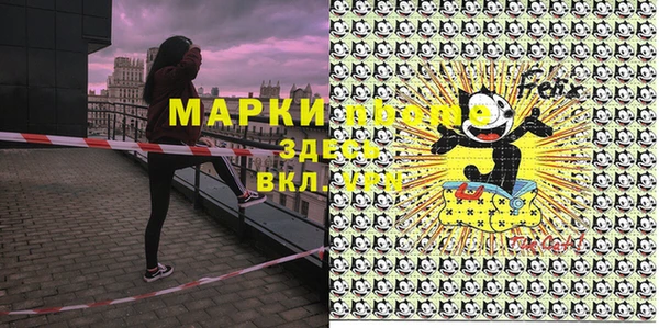 дмт Няндома