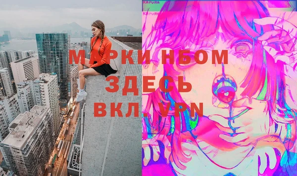 дмт Няндома