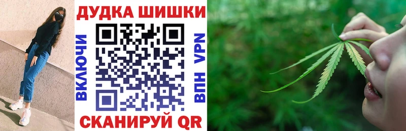 Шишки марихуана AK-47  закладки  Чкаловск 